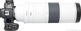 2026年版】Canon RF200-800mm F6.3-9 IS USM レビュー 超望遠が身近に